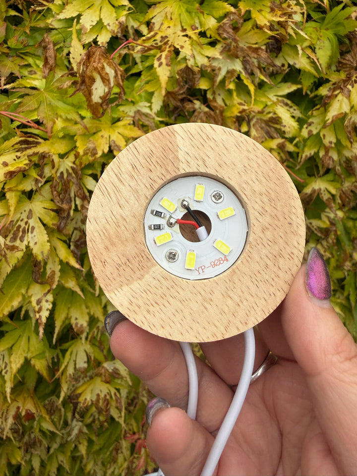 White Light USB Round Lightbox