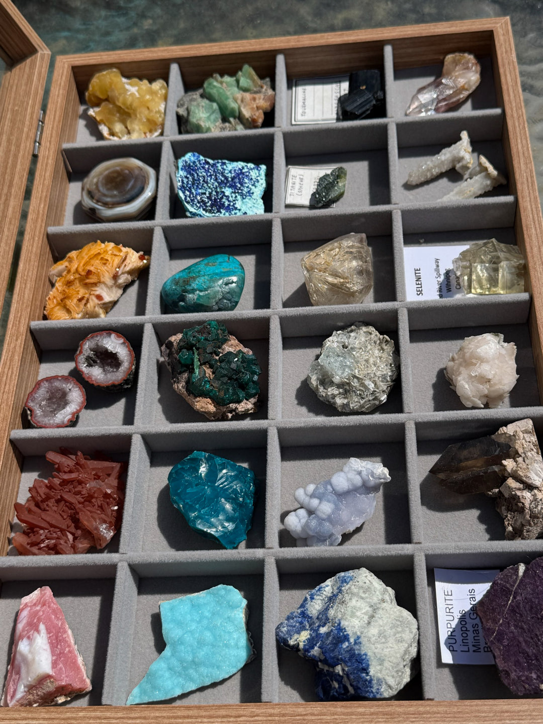 Mineral Display Crystal Case with 24 Compartments