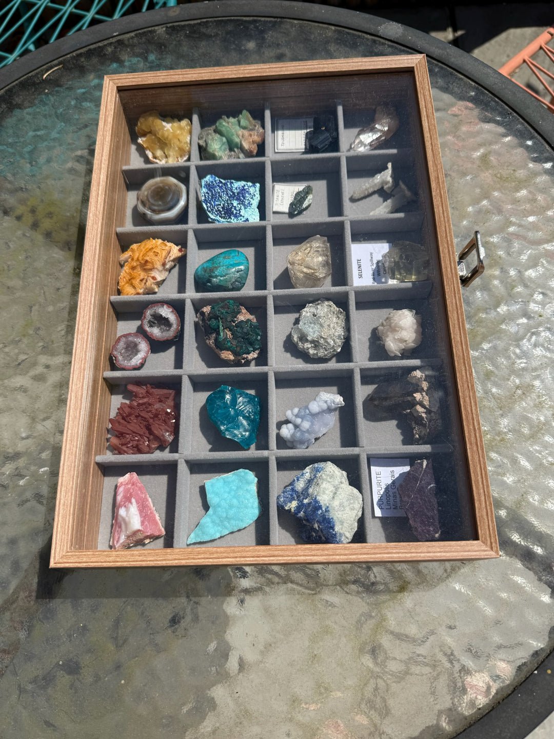 Mineral Display Crystal Case with 24 Compartments
