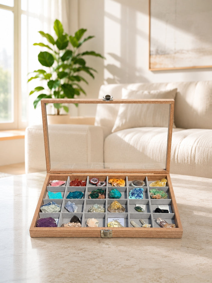 Mineral Display Crystal Case with 24 Compartments