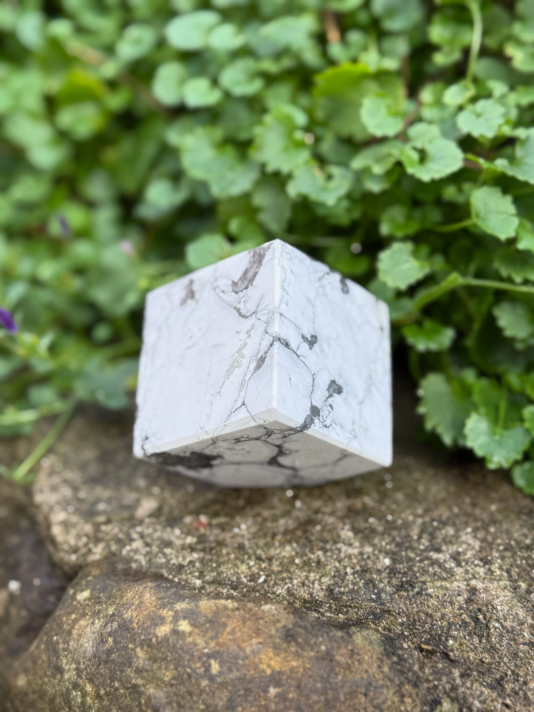 Howlite Floating Cube