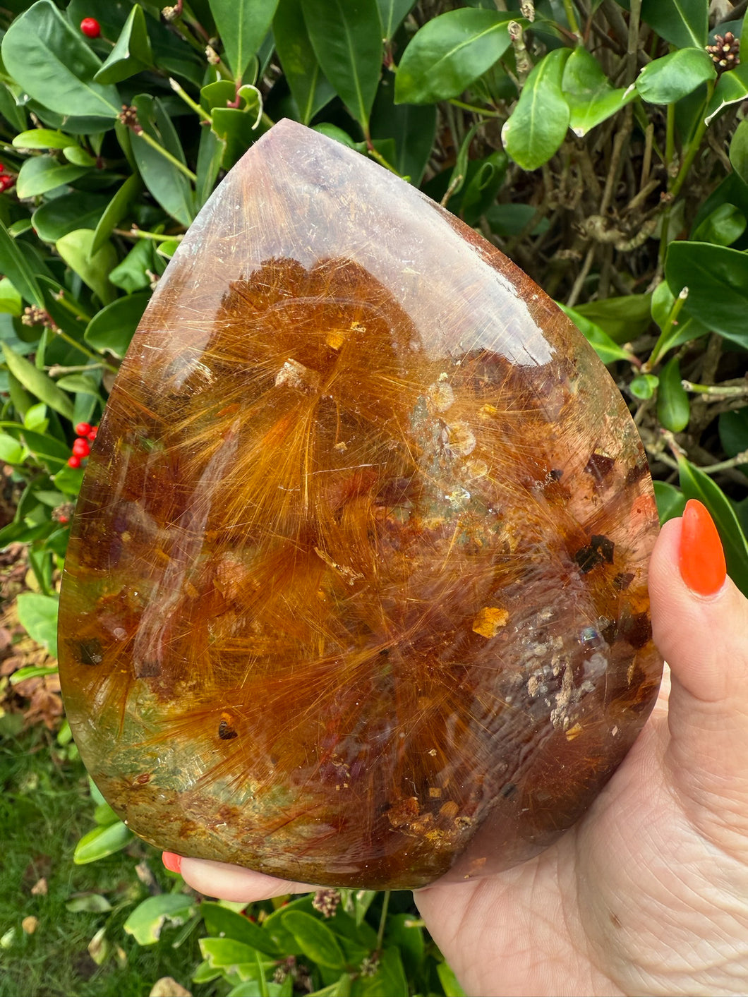 Rare Flower Golden Rutile Quartz Freeform