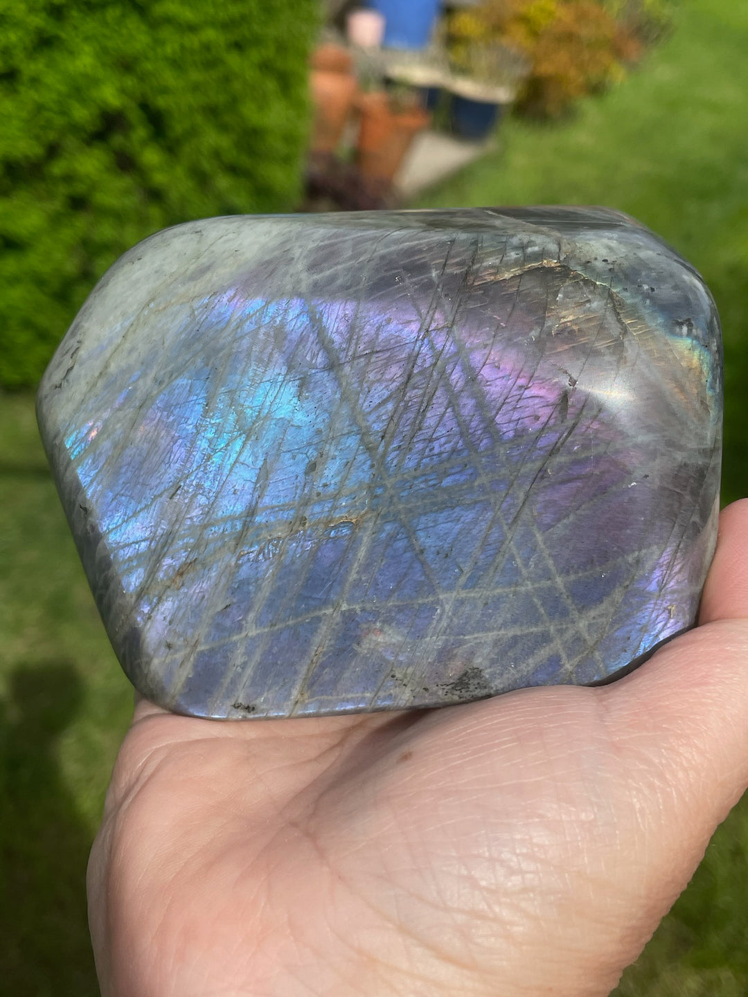 Purple Flash Labradorite Freeform