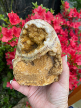 Load image into Gallery viewer, Druzy Golden Healer Quartz and Agate Freeform
