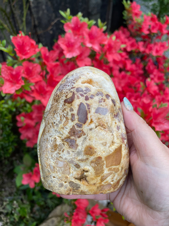 Druzy Golden Healer Quartz and Agate Freeform