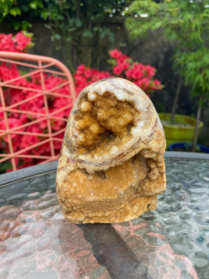 Druzy Golden Healer Quartz and Agate Freeform