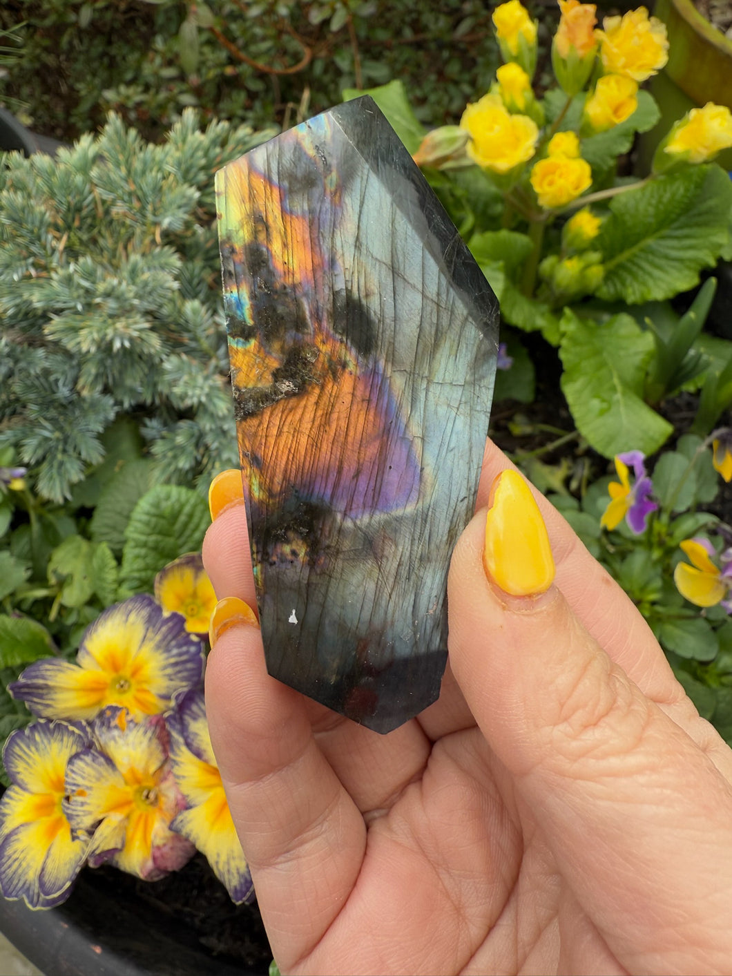 Pink Flash Labradorite Freeform
