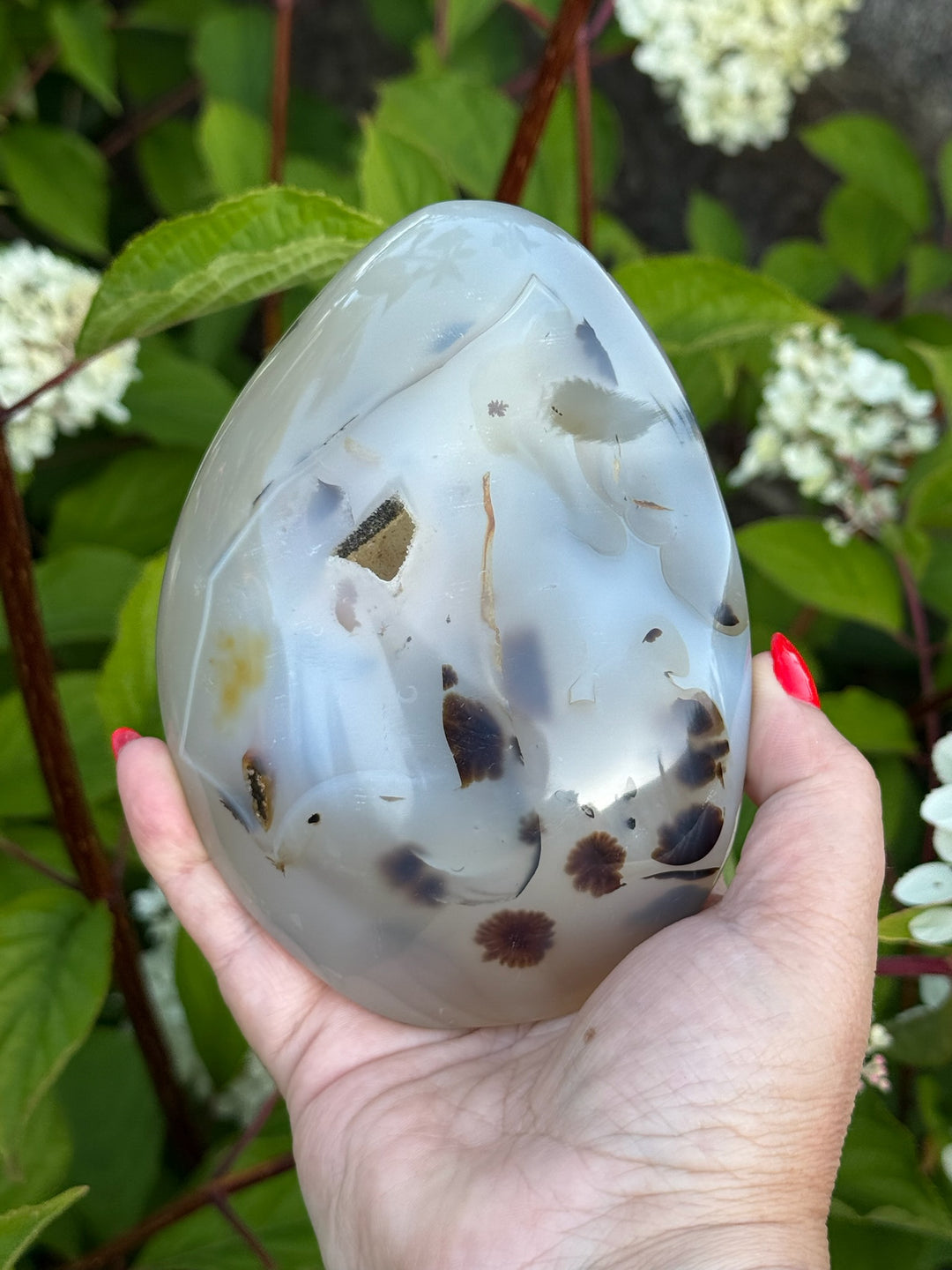 Extra Large Druzy Dendritic Agate Freeform