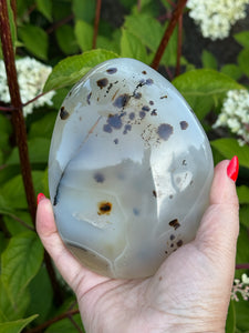 Extra Large Druzy Dendritic Agate Freeform