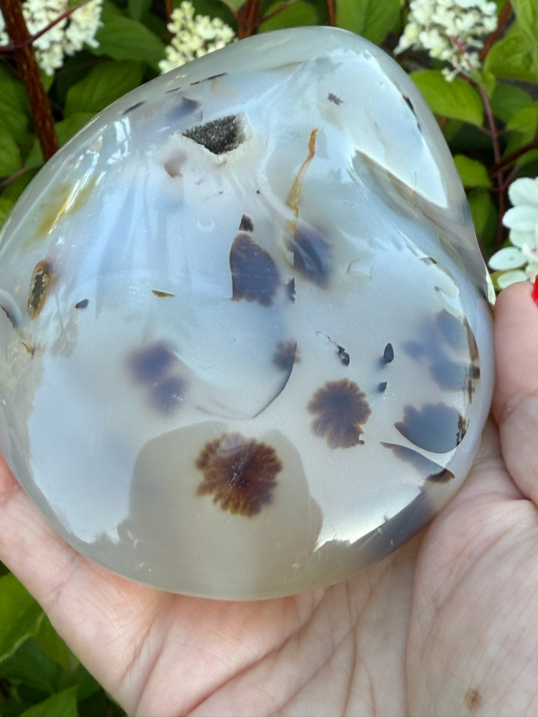 Extra Large Druzy Dendritic Agate Freeform