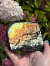 Load image into Gallery viewer, Freestanding Golden Labradorite Freeform
