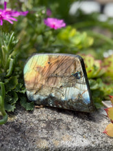 Load image into Gallery viewer, Freestanding Golden Labradorite Freeform
