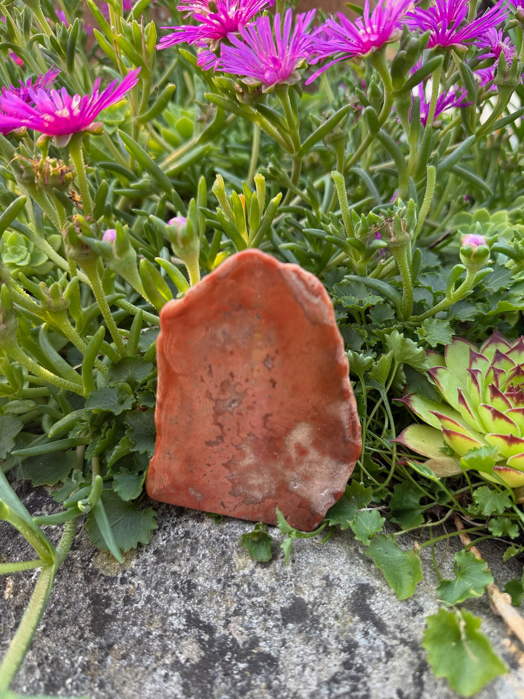 Dulcote Agate Freeform