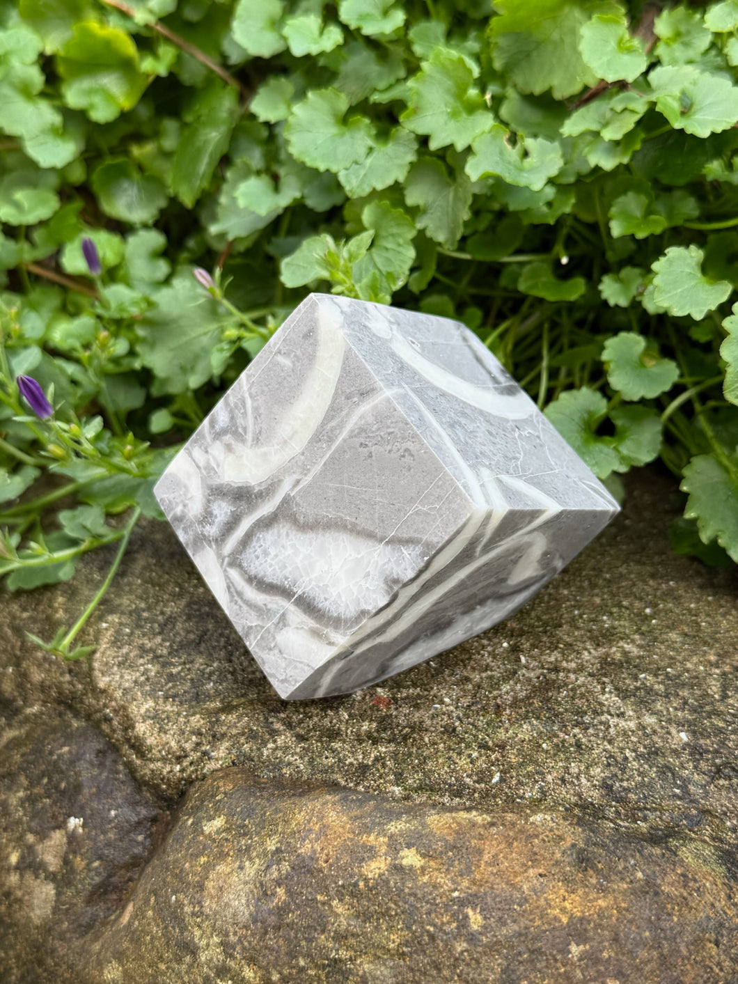 Shell Jasper Floating Cube