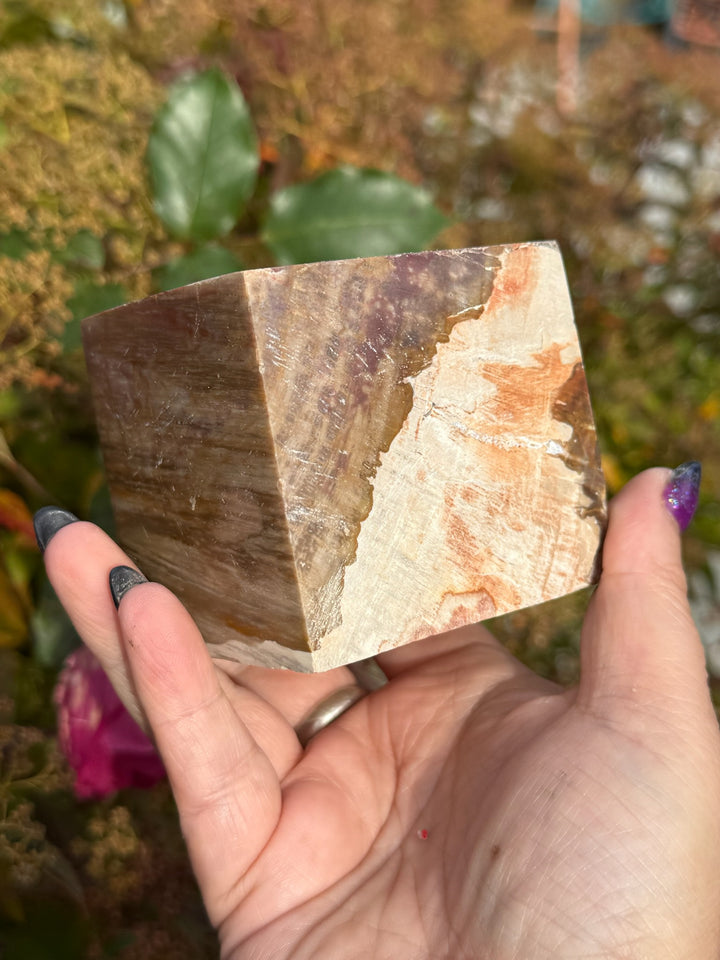 Large Petrified Wood Floating Cube
