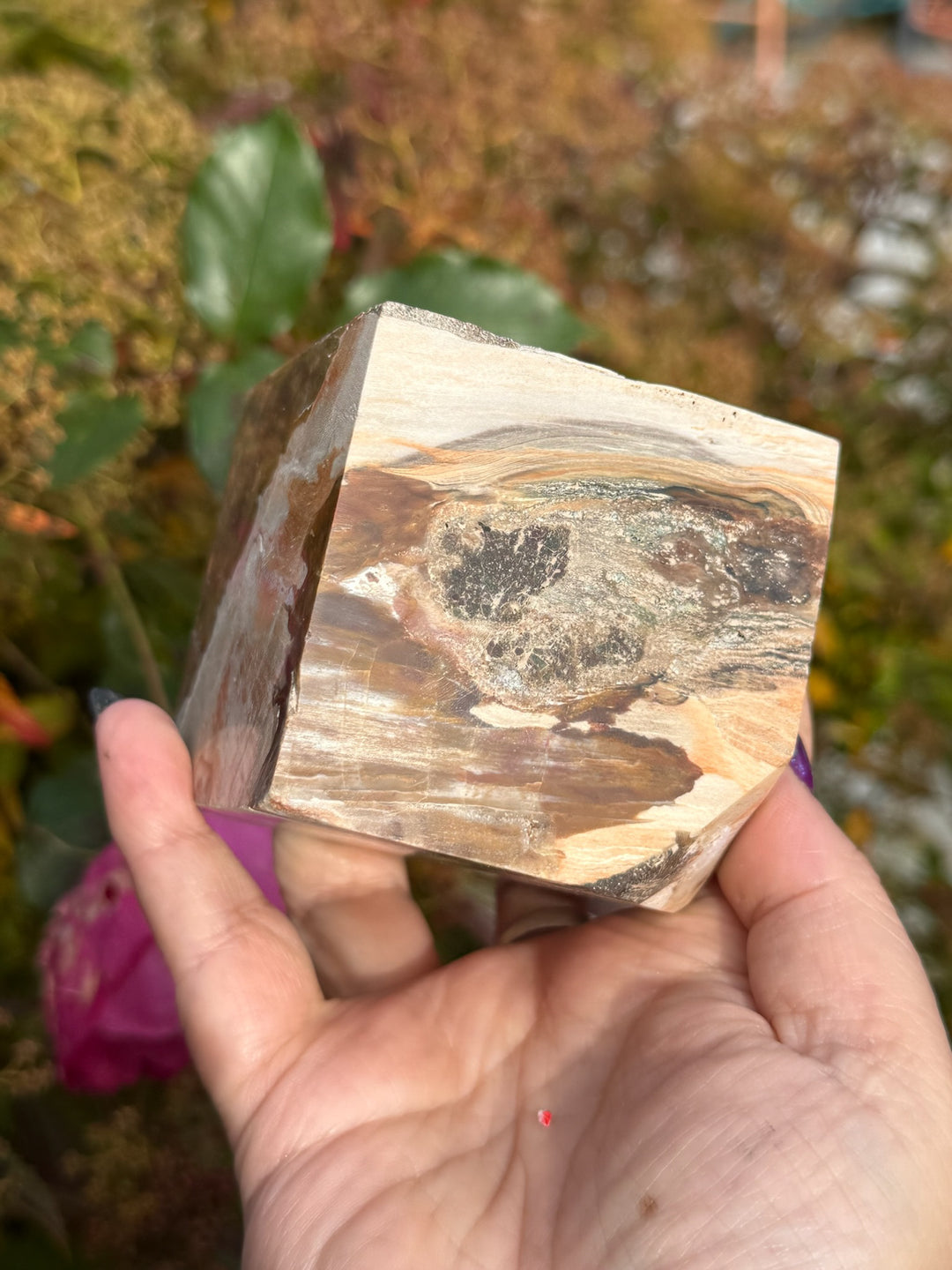 Large Petrified Wood Floating Cube