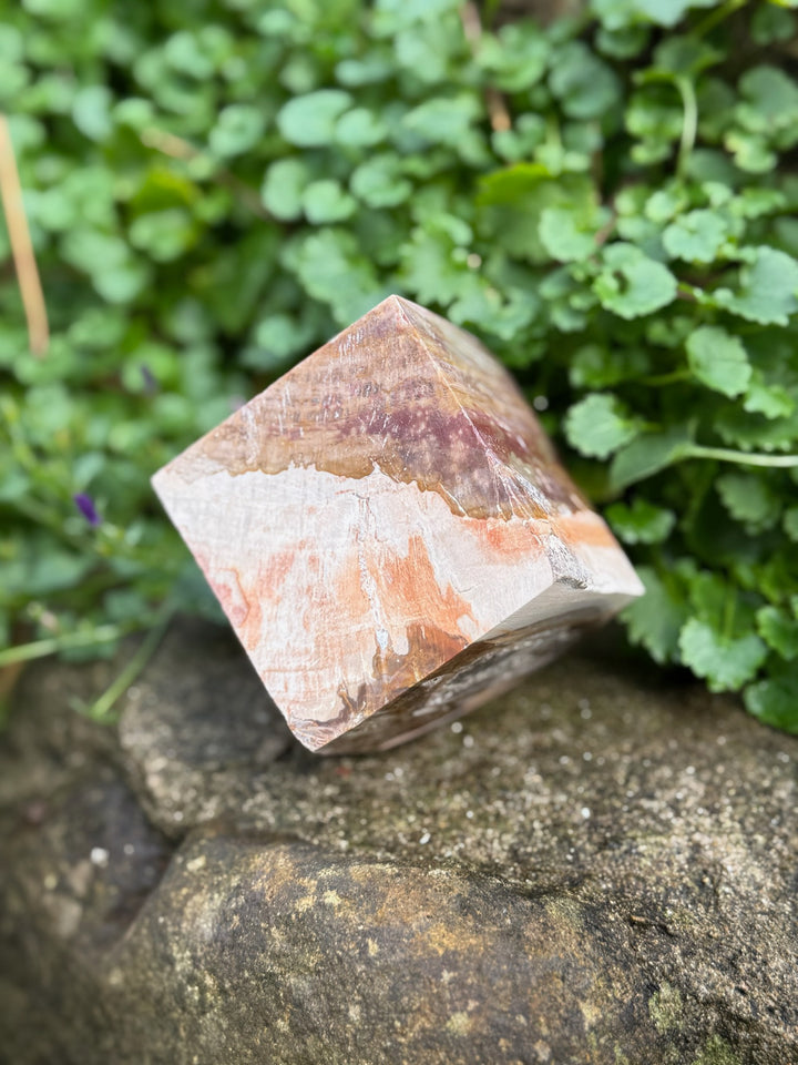 Large Petrified Wood Floating Cube