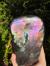 Load image into Gallery viewer, Collector Grade Labradorite Freeform Purple Flash 11.5cm Exact Piece
