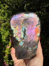Load image into Gallery viewer, Collector Grade Labradorite Freeform Purple Flash 11.5cm Exact Piece
