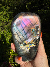 Load image into Gallery viewer, Collector Grade Labradorite Freeform Purple Flash 11.5cm Exact Piece
