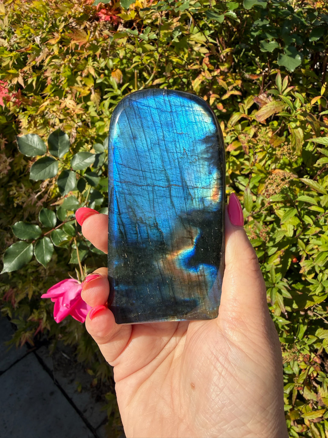 Blue flash Labradorite Freeform from Madagascar