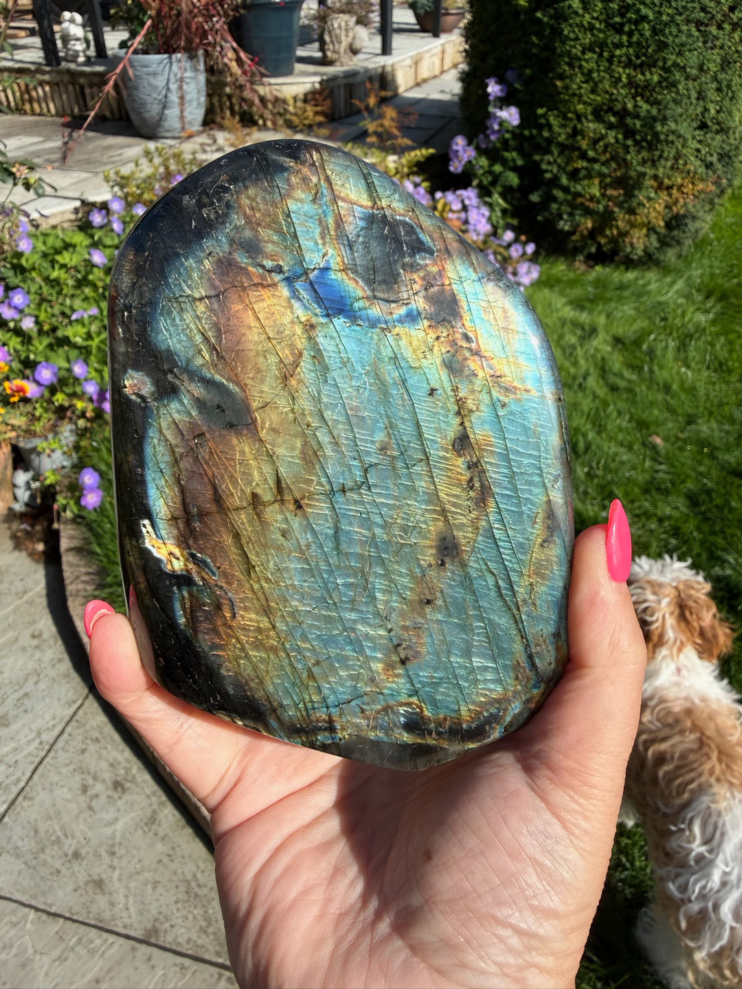 Golden Flash Labradorite Freeform from Madagascar