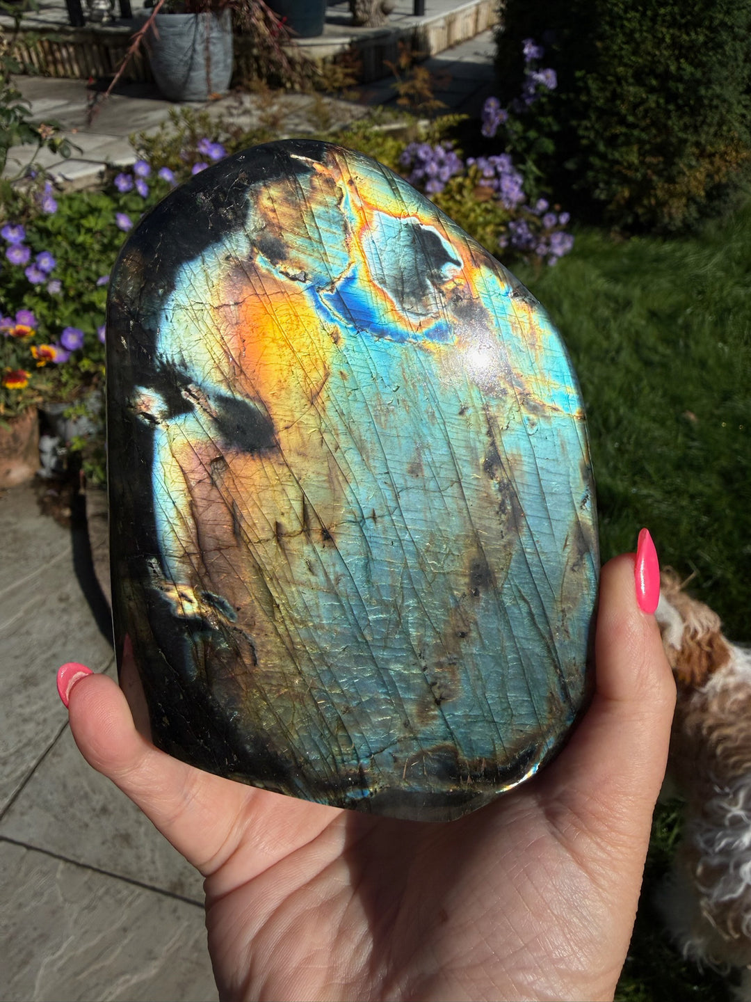 Golden Flash Labradorite Freeform from Madagascar
