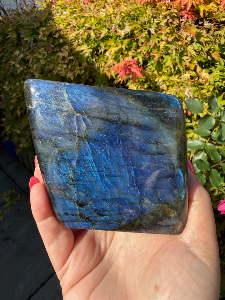 Blue Flash Labradorite Freeform from Madagascar