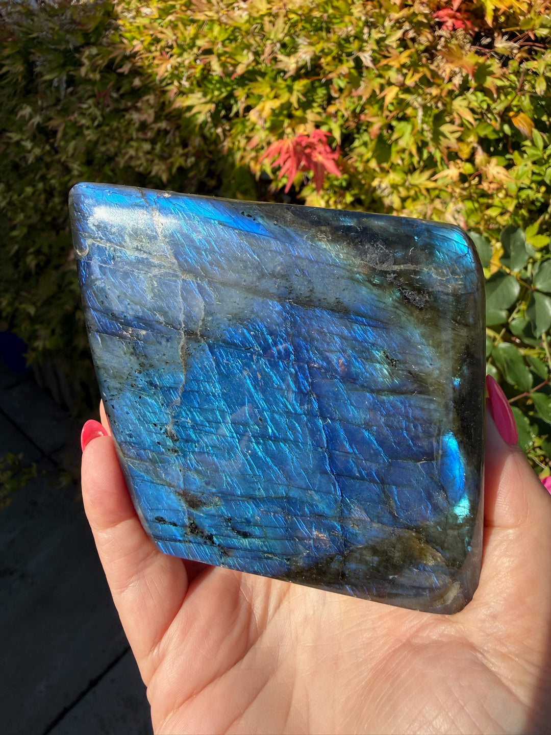 Blue Flash Labradorite Freeform from Madagascar