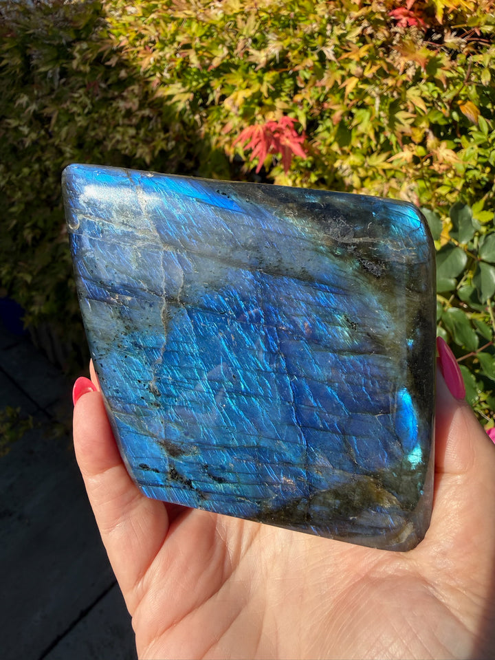 Blue Flash Labradorite Freeform from Madagascar