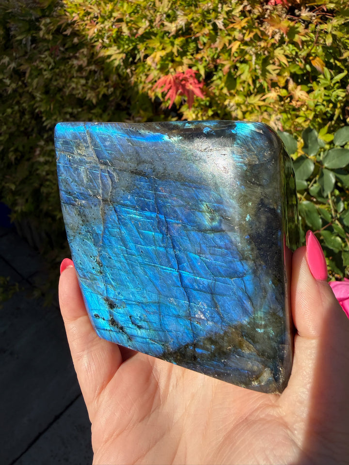 Blue Flash Labradorite Freeform from Madagascar