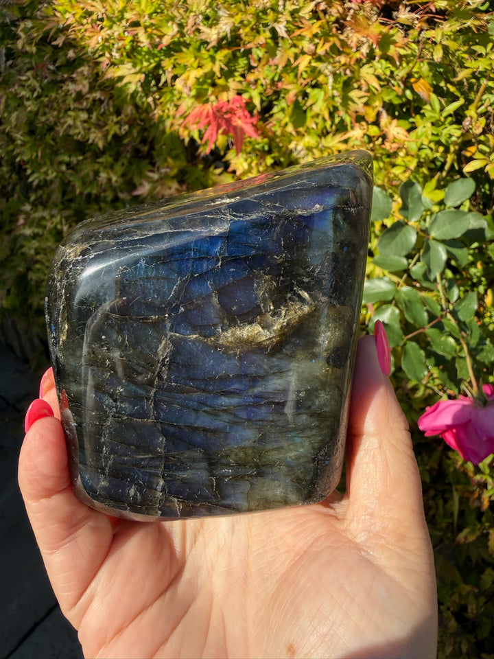 Blue Flash Labradorite Freeform from Madagascar