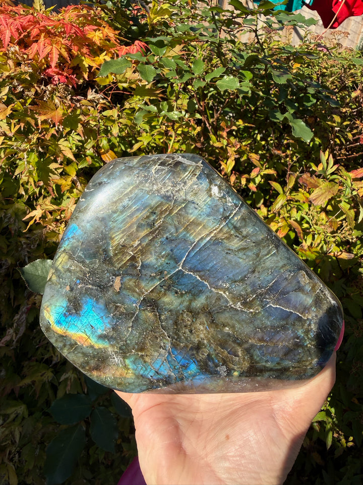 Blue Flash Labradorite Freeform from Madagascar