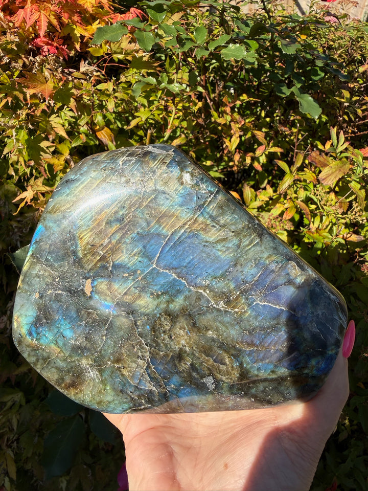 Blue Flash Labradorite Freeform from Madagascar