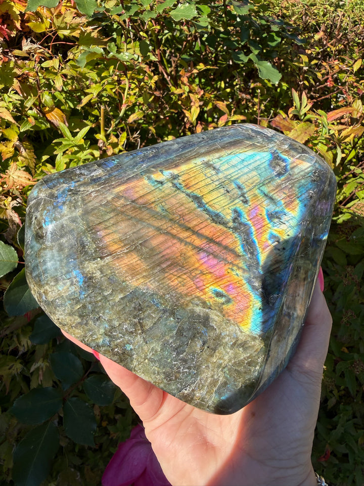 Blue Flash Labradorite Freeform from Madagascar