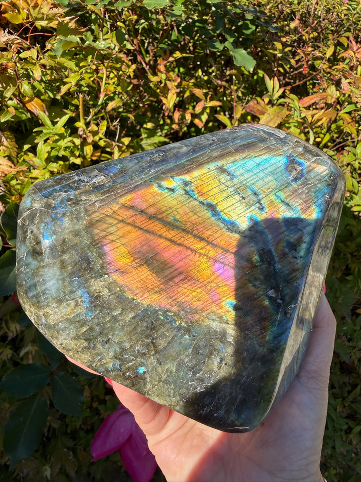 Blue Flash Labradorite Freeform from Madagascar