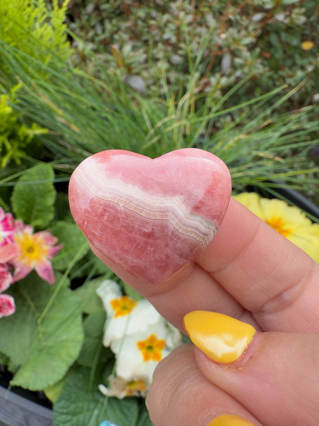 Rhodochrosite Cabachon Heart Carving Flat Back