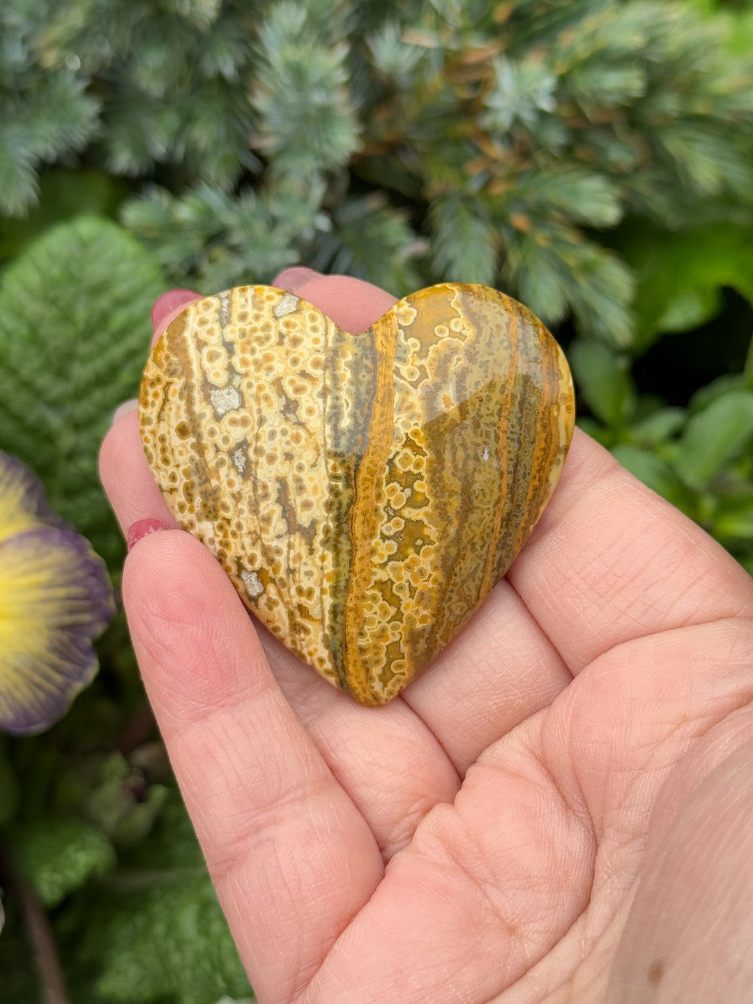 Indonesia Ocean Jasper Heart Carving