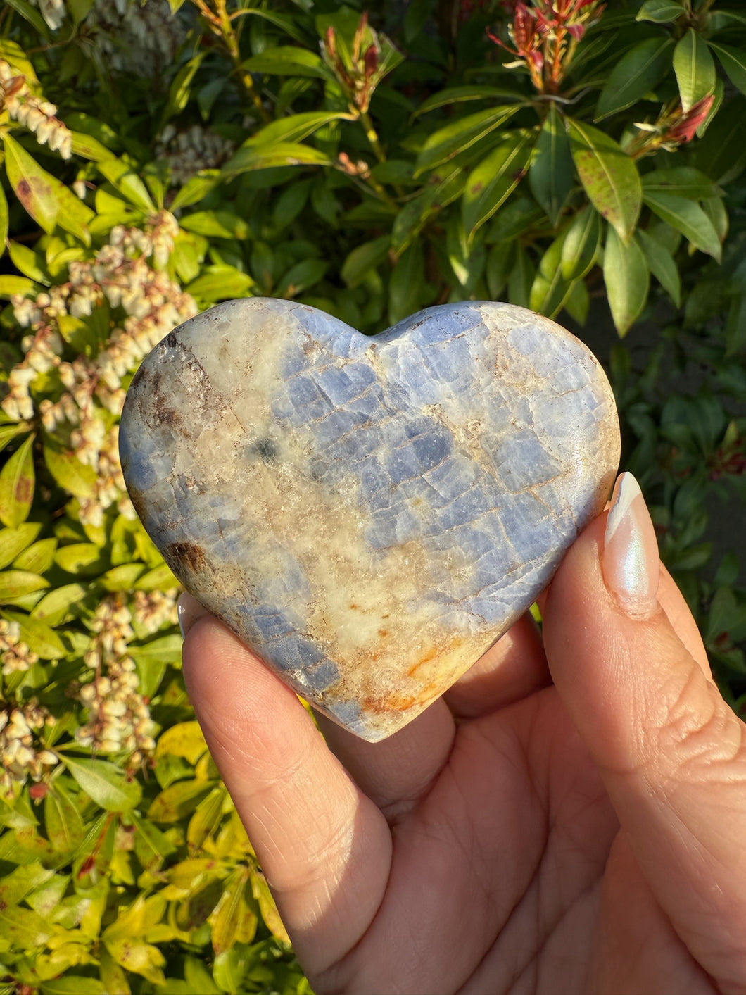 UV Reactive Rare Hackmanite Heart Carving