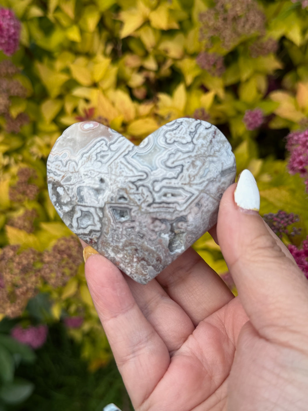 Mexico Crazy Lace Agate Heart Carving