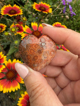 Load image into Gallery viewer, Fossilized Coral Heart Carving
