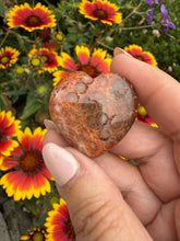 Load image into Gallery viewer, Fossilized Coral Heart Carving
