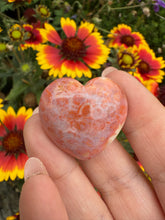 Load image into Gallery viewer, Fossilized Coral Heart Carving

