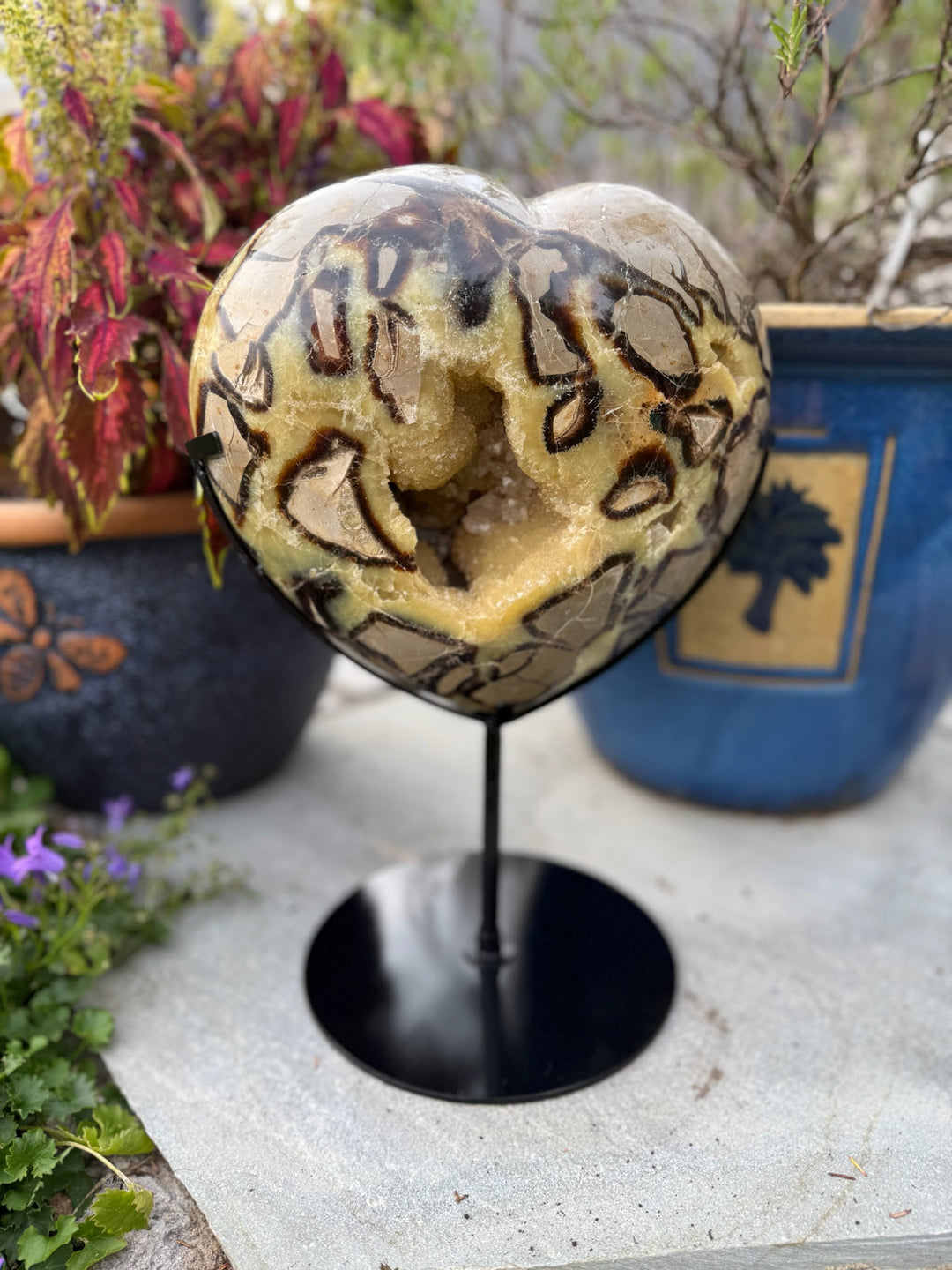 Extra Large Septarian Heart with Calcite on Custom Stand