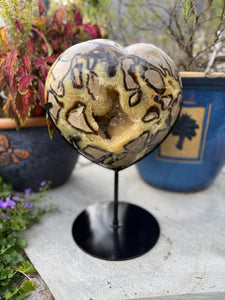 Extra Large Septarian Heart with Calcite on Custom Stand