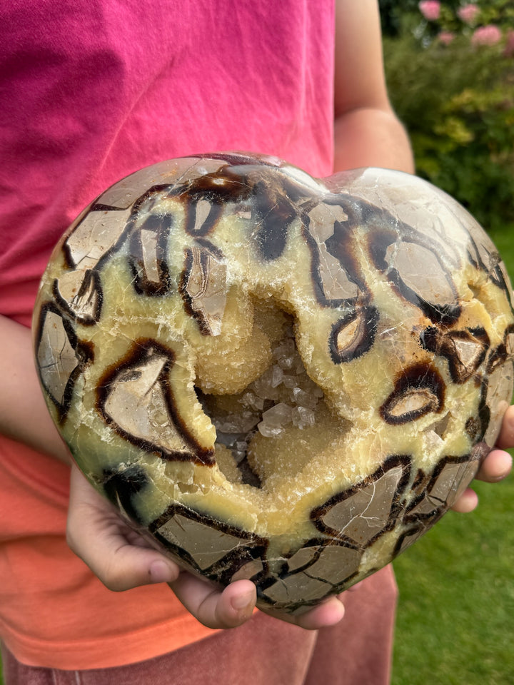 Extra Large Septarian Heart with Calcite on Custom Stand