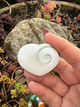 Load image into Gallery viewer, Shiva Shell Heart Carving
