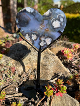 Load image into Gallery viewer, Blue Flower Agate Heart Carving with Custom Stand
