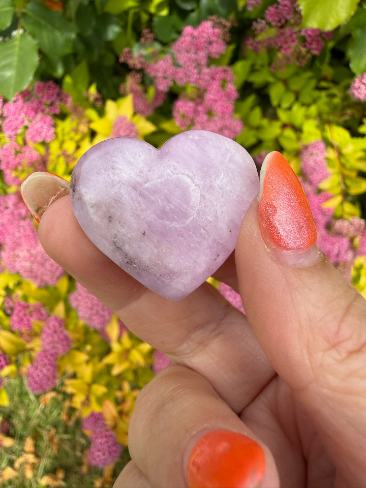 Uv Reactive Kunzite Heart Carving from Brazil