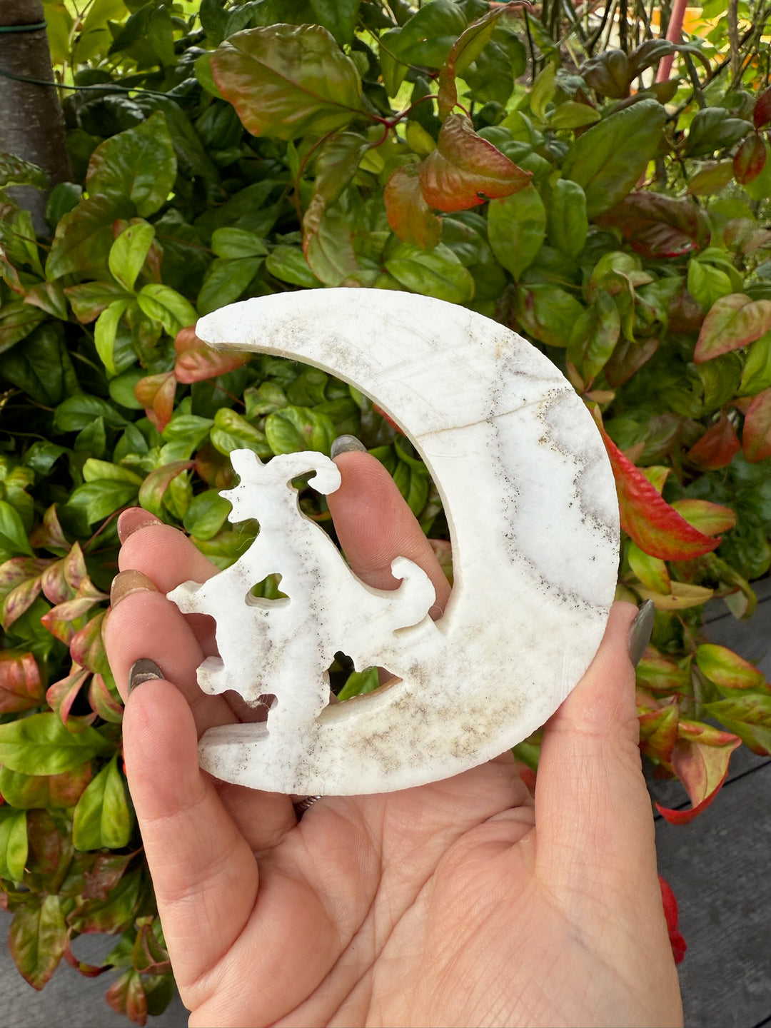 Dendritic Calcite Witch in a Moon Carving